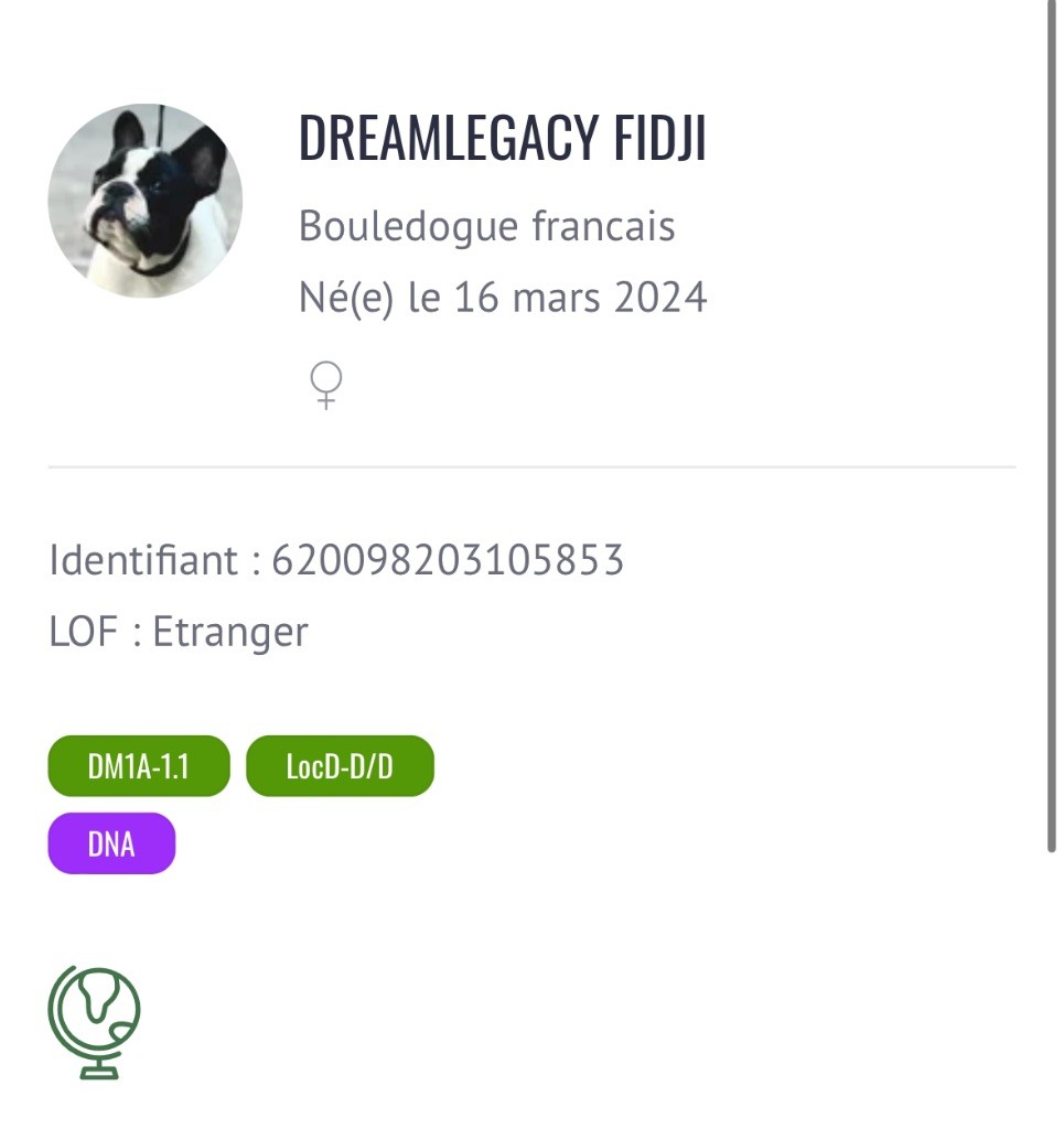 dreamlegacy Fidji