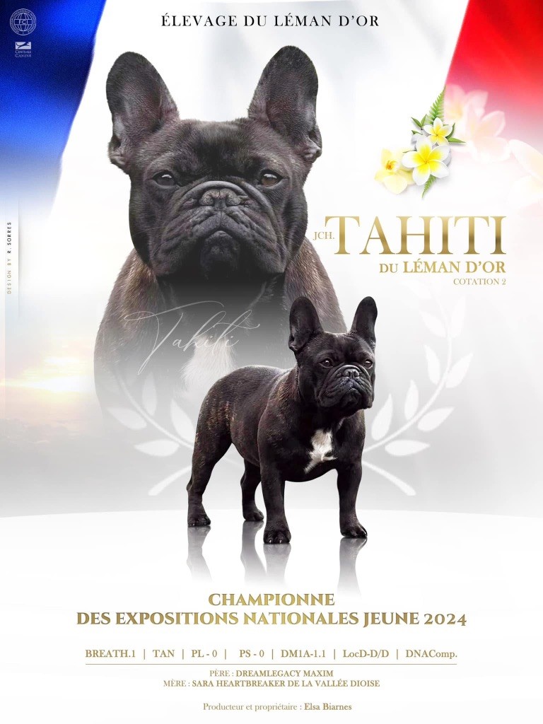 Tahiti du Léman d'Or